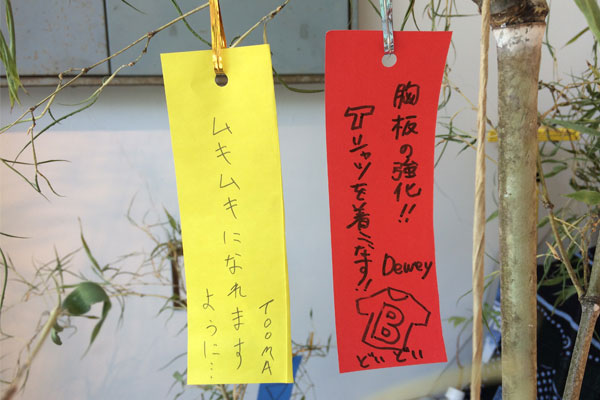 7月7日七夕やー 16年の彦星織姫は 株式会社 大都